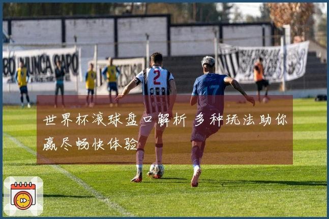 世界杯滚球盘口解析 多种玩法助你赢尽畅快体验