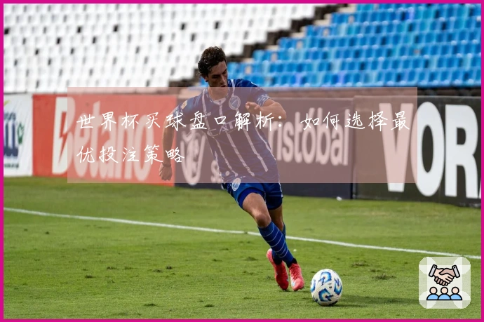 世界杯买球盘口解析：如何选择最优投注策略