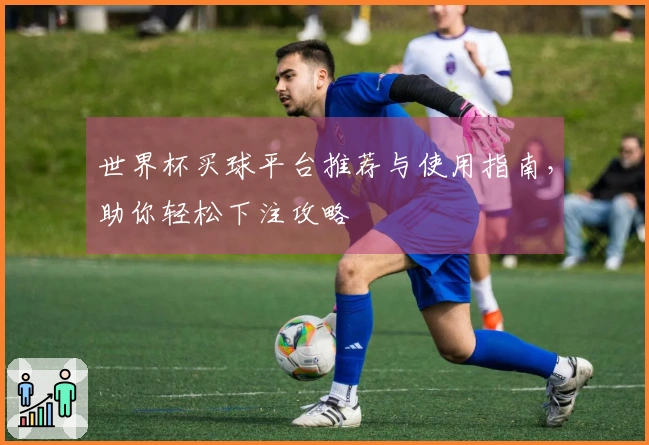 世界杯买球平台推荐与使用指南，助你轻松下注攻略