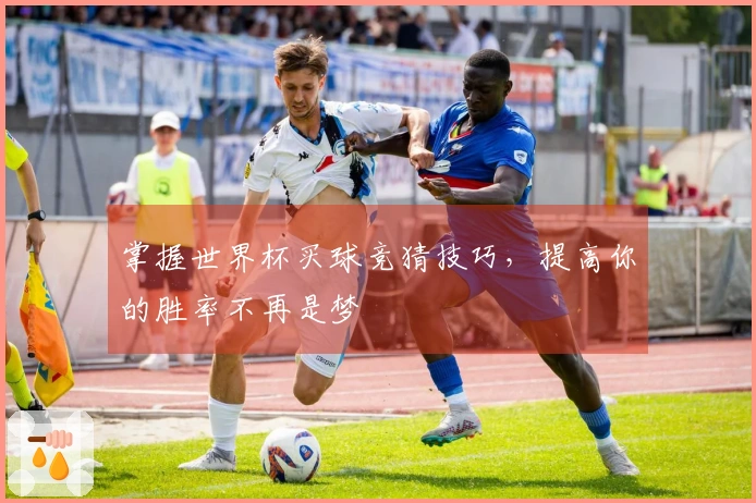 掌握世界杯买球竞猜技巧，提高你的胜率不再是梦