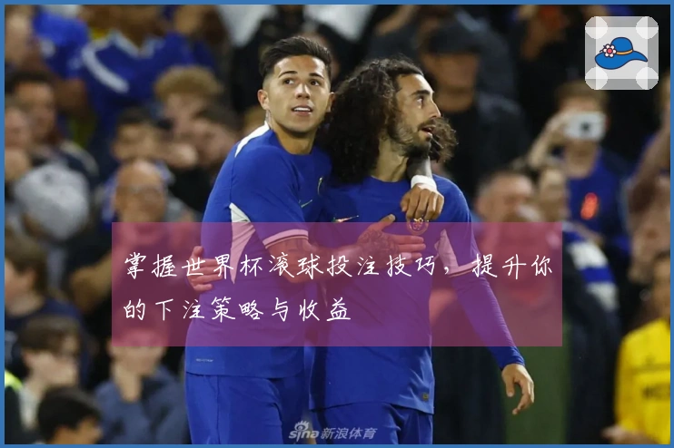 掌握世界杯滚球投注技巧，提升你的下注策略与收益