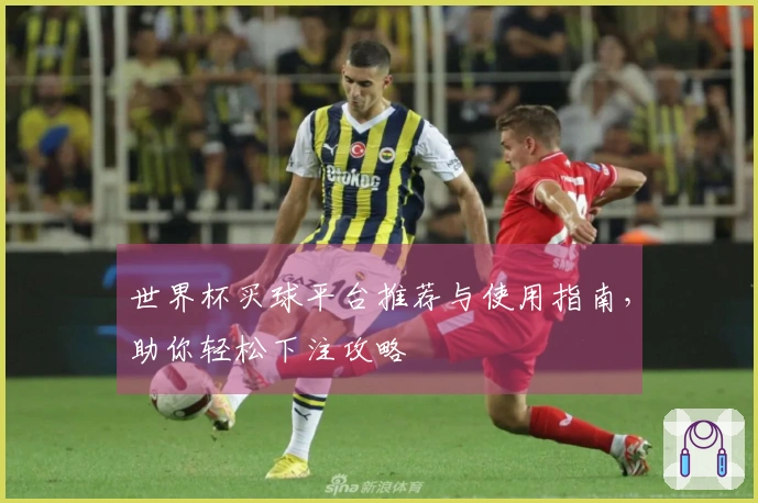 世界杯买球平台推荐与使用指南，助你轻松下注攻略