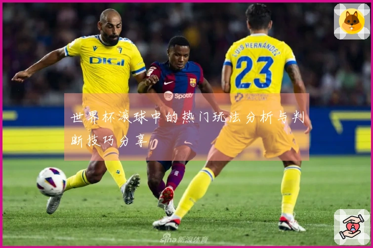 世界杯滚球中的热门玩法分析与判断技巧分享