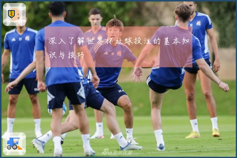 深入了解世界杯让球投注的基本知识与技巧