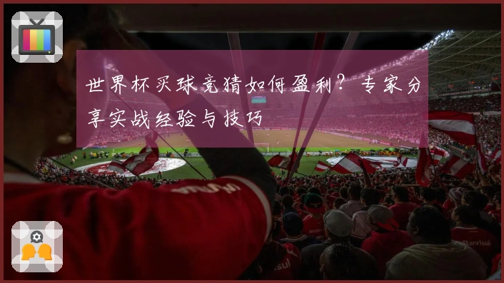 世界杯买球竞猜如何盈利？专家分享实战经验与技巧