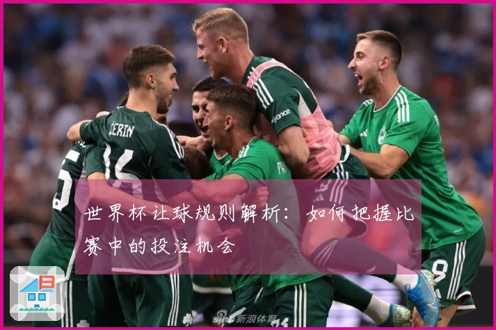 世界杯让球规则解析：如何把握比赛中的投注机会
