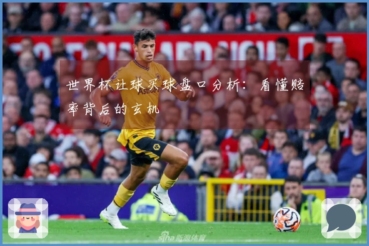 世界杯让球买球盘口分析：看懂赔率背后的玄机