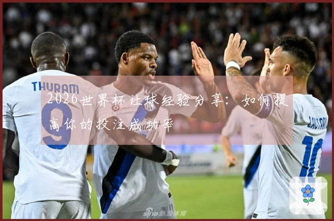 2026世界杯让球经验分享：如何提高你的投注成功率