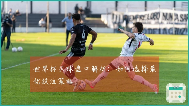 世界杯买球盘口解析：如何选择最优投注策略