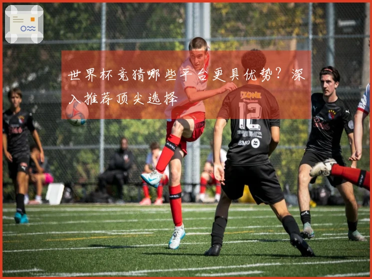 世界杯竞猜哪些平台更具优势？深入推荐顶尖选择