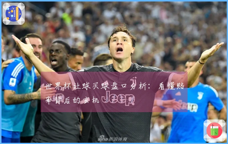 世界杯让球买球盘口分析：看懂赔率背后的玄机
