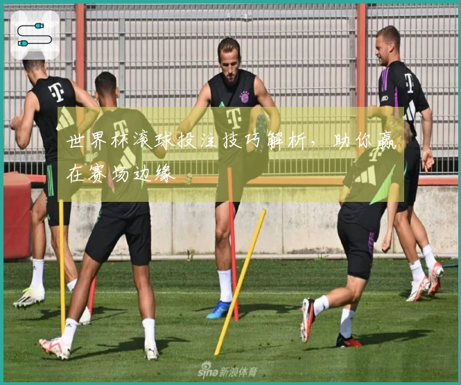 世界杯滚球投注技巧解析，助你赢在赛场边缘