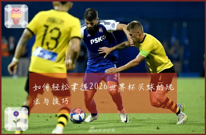 如何轻松掌握2026世界杯买球的玩法与技巧
