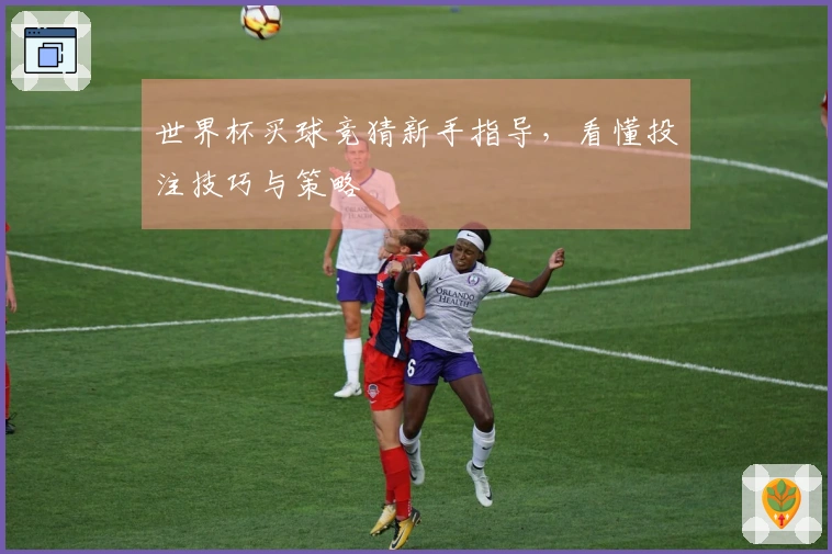 世界杯买球竞猜新手指导，看懂投注技巧与策略