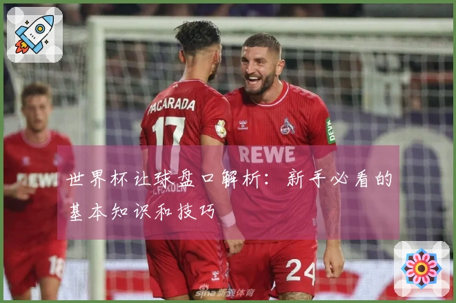 世界杯让球盘口解析：新手必看的基本知识和技巧